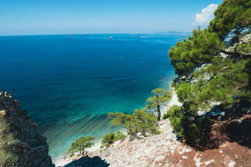 The Black Sea coast with pine trees and blue water