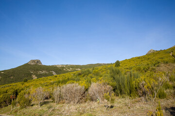 Scenic view of lush hillsides in Madeira under a clear blue sky on a sunny day