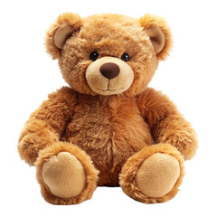 Obraz premium Brown fur teddy bear isolated on white background