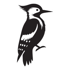 Sturdy Tree-Tapper Woodpecker silhouette – Woodpecker illustration – Minimalist Woodpecker vector – Bird silhouette

