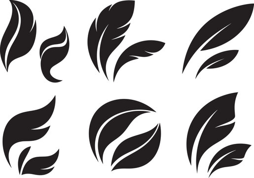 set of black and white fether silhouette 