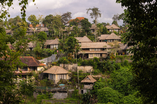 Wide angle view of villas with thatched roofs in Ubud, Bali, stacked on a hill among lush trees. 