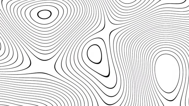 Black and white topographic map showing elevation contours and land features, great for cartography, geography, educational materials, and terrain analysis.