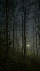 Naklejka premium Mystic Woods: The haunting beauty of a dark forest at night, shrouded in an ethereal mist, invites viewers into an exploration of the unknown.