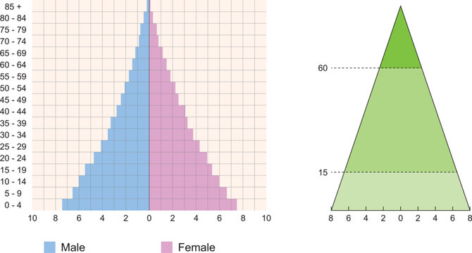 Population Pyramids And Their Types, Life Expectancy on Earth. Types of population pyramids that can be seen in Turkey or other countries.