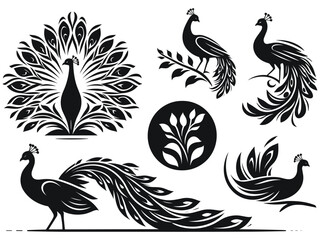 Peocock Vector Icon Pack