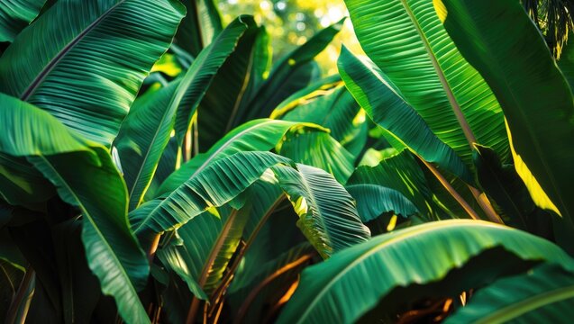 Zoomed-in view of a plant leaf