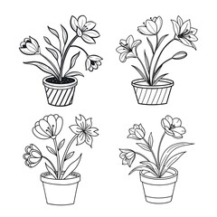 A set of simple line drawing of three flowers in a pot vector collection isolated on transparent 