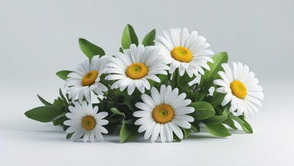 Obraz premium Daisy group depicted as a package design element against a white background