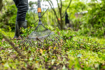 Gardener raking cutting leaves  and shrubs in the garden. Garden rake. Spring garden. Garden work.