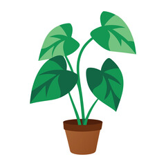 Cartoon potted plant illustration caladium plant with green leaves in brown pot