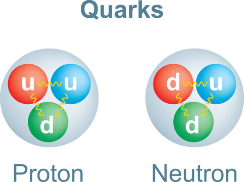 Vector illustration of up and down quarks in proton and neutron. Vector illustration isolated on white background.