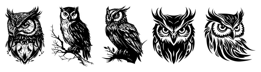 black owl vector illustrations in tattoo outline style