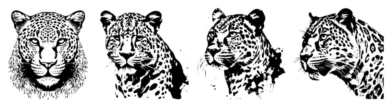 leopard and jaguar head vector illustrations in detailed tattoo style