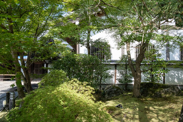 日本、京都、永観堂、禅林寺、寺院、佛寺、佛教、庭園、文化財、木造建築、古代建築、日本文化、歷史名勝、青空、木、綠色、池塘、鯉魚、風景、写真素材