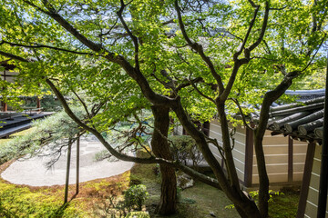 日本、京都、永観堂、禅林寺、寺院、佛寺、佛教、庭園、文化財、木造建築、古代建築、日本文化、歷史名勝、青空、木、綠色、池塘、鯉魚、風景、写真素材
