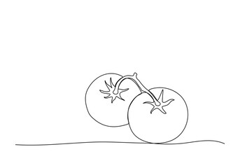 Two tomatoes. One line drawing vector illustration.