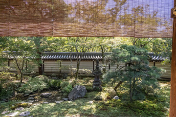 日本、京都、永観堂、禅林寺、寺院、佛寺、佛教、庭園、文化財、木造建築、古代建築、日本文化、歷史名勝、青空、木、綠色、池塘、鯉魚、風景、写真素材