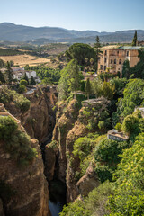 Vertical Scenery of Outdoor View in Ronda. High Rocky Stone with Green Plants in Spain.