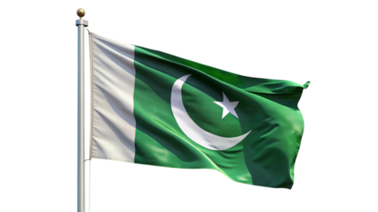 flag of pakistan isolated white background