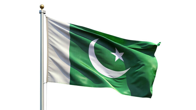 flag of pakistan isolated white background