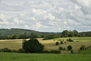 Fototapeta premium Petite éclaircie sur un champ de blé dans la vallée contrastant avec les zones d'ombres sur les collines environnantes aux environs de Bra (Lierneux) 