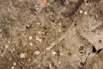Old concrete floor covered with brown moss, textured solid surface