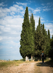 A woman is walking in a rural landscape with tall cypress trees. Blue cloudy sky at the background.