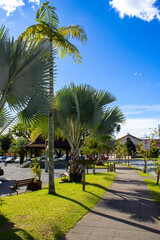 A stunning natural landscape featuring lush green grass, tree-covered mountains, and a vibrant blue sky. The scene exudes tranquility, freshness, and the beauty of untouched nature.