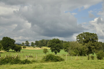 Contraste entre le vert du paysage rural sous le soleil et les nuages sombres à Bra (Lierneux)