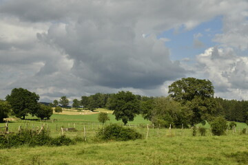 Contraste entre le vert du paysage rural sous le soleil et les nuages sombres à Bra (Lierneux)
