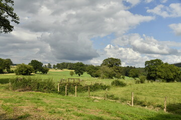Contraste entre le vert du paysage rural sous le soleil et les nuages sombres à Bra (Lierneux)