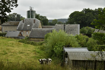 Fermes et maisons en pierres des Ardennes typiques au village de Bra (Lierneux)