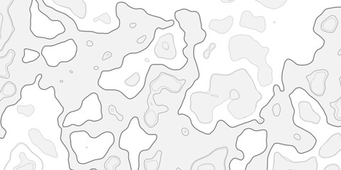 Abstract gray and white map background with organic shapes and dark outline contours design .