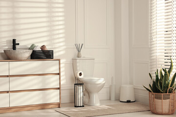 Ceramic toilet bowl, houseplant and necessities in restroom