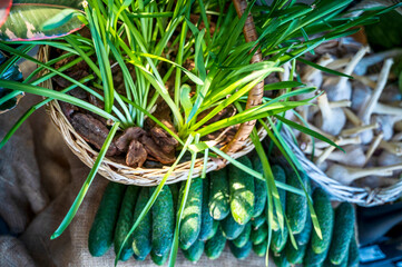 close-up of young greens and vegetables