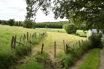 Chemin entre p&acirc;tures et bois aux environs de Bra (Lierneux)