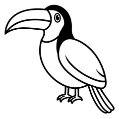 toucan bird vector illustration art