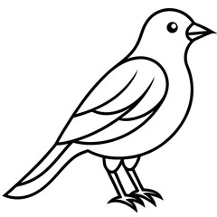 vector illustration of a bird