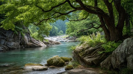 Obraz premium serene river landscape in japanese mountains.