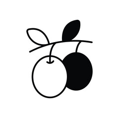 Olive Oil Vector icon