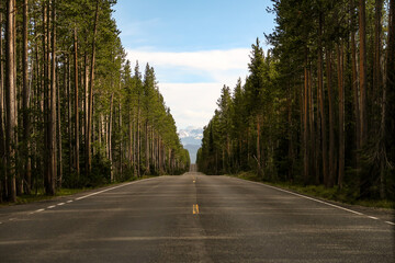 Route de Montagne droite en forêt 