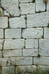 Ancient white marble wall with grass close up