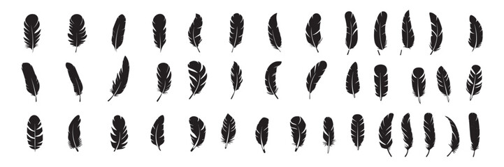 set of vector feathers collection eps 
