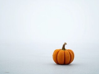 Small, orange pumpkin on a plain white background.