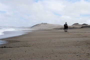 Hoof Prints