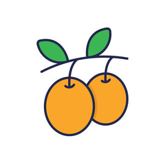 Olive Oil Vector icon