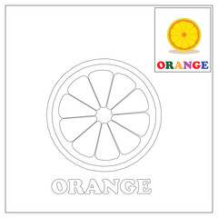 Vector illustration of learning to color for children various types of fruit