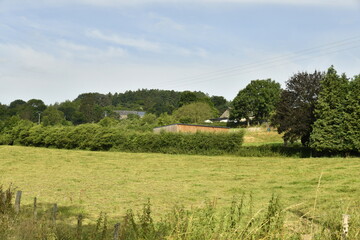 Prairie près d'un bois sous un ciel bleu à Bra (Lierneux)