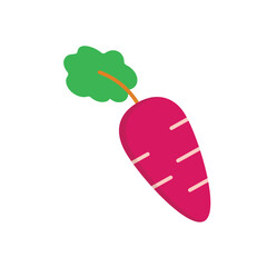 Carrot Vector icon